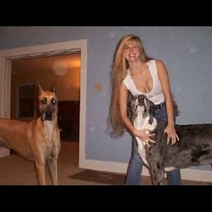 Meet your Posher, Patty